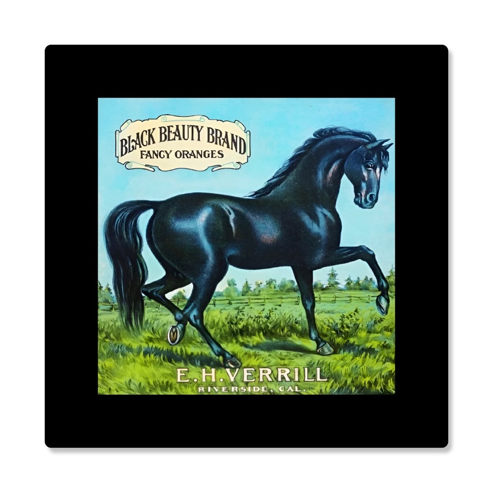 Vintage Horse Label on Canvas